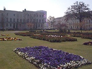 images from Cheltenham